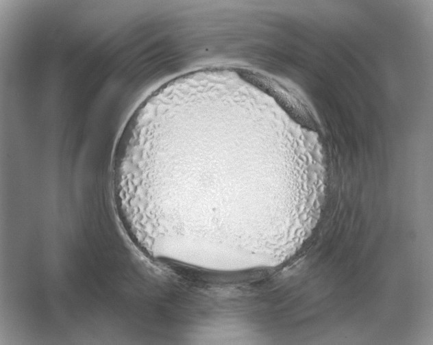 X0000063450911200602171854