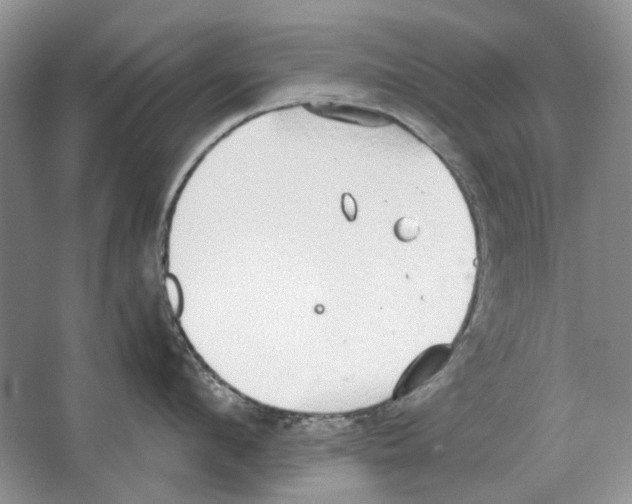 X0000063450912200602171854