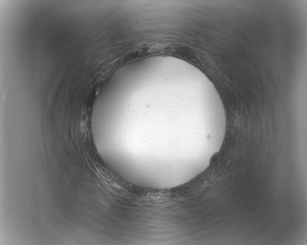 X0000063450914200602171854