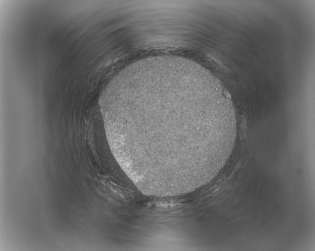 X0000063450917200602171854