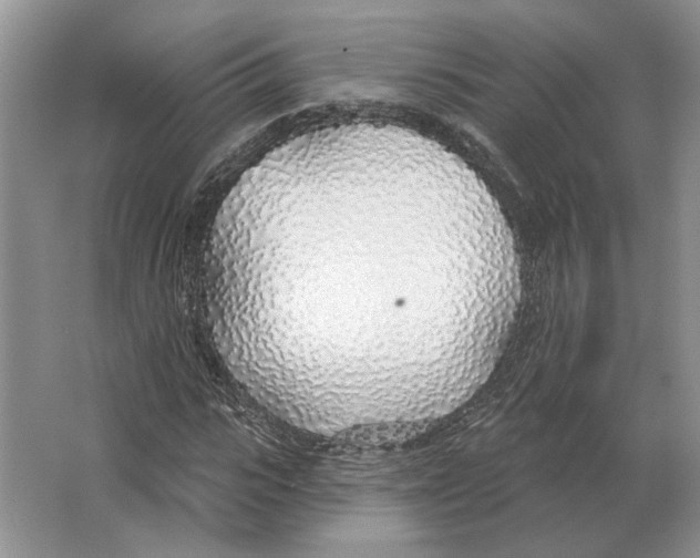 X0000063450919200602171854