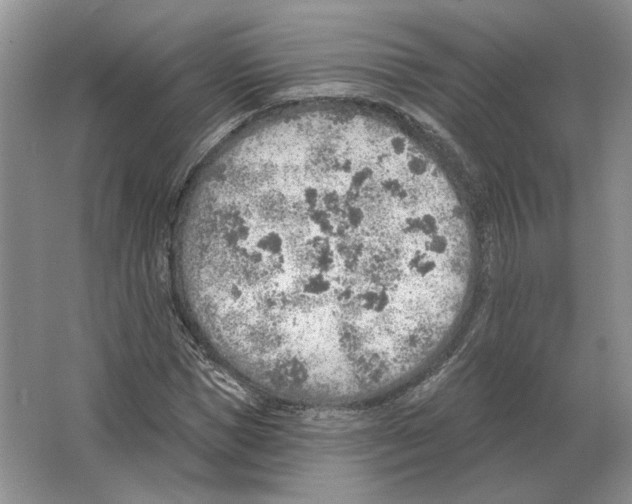 X0000063450921200602171854