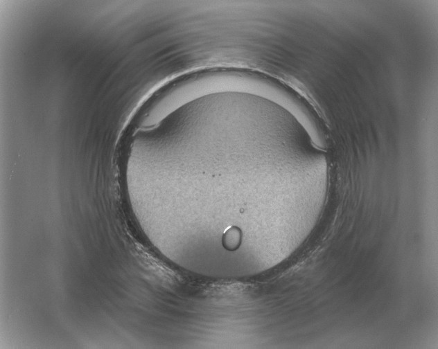 X0000063450926200602171854