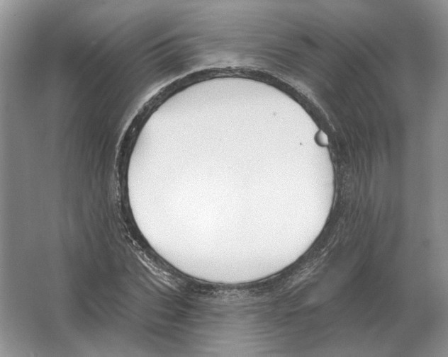 X0000063450927200602171854