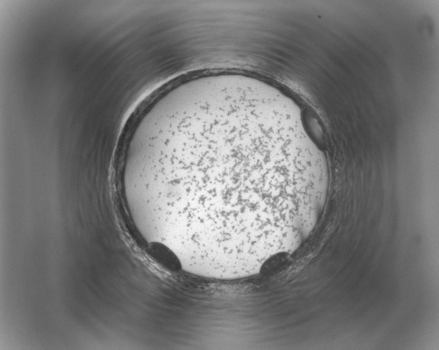 X0000063450928200602171854