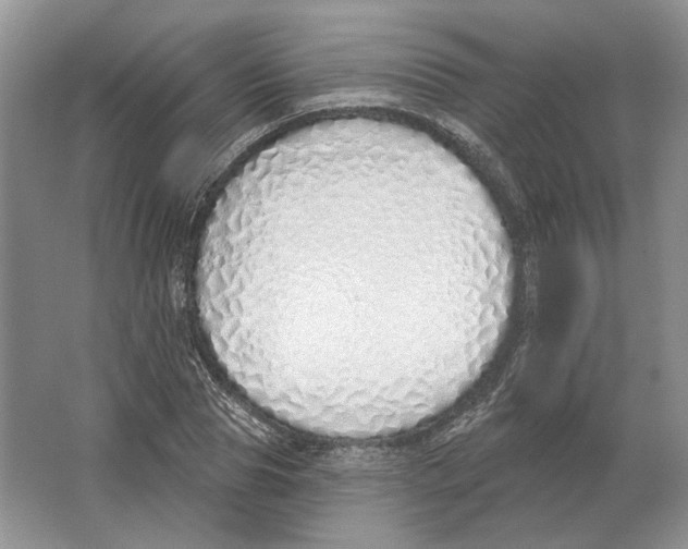 X0000063450929200602171854