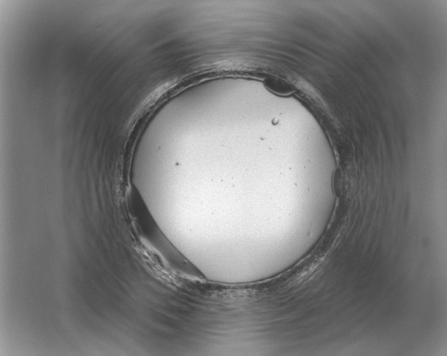 X0000063450930200602171854