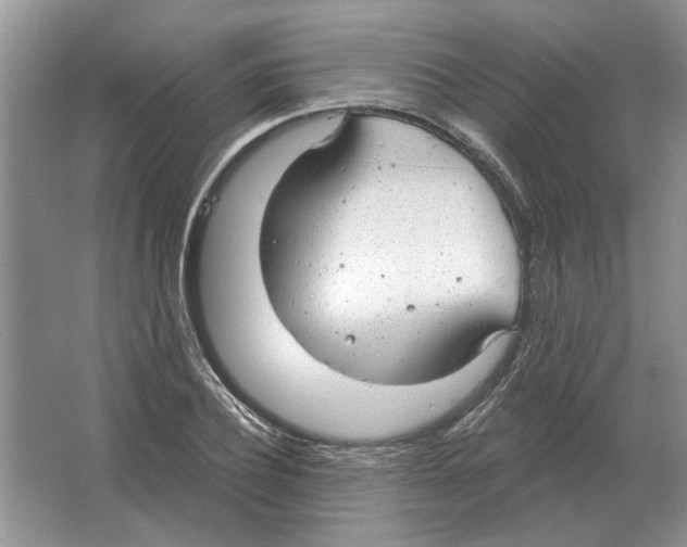 X0000063450932200602171854