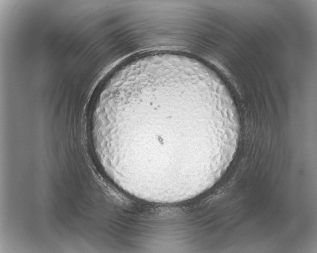 X0000063450933200602171854