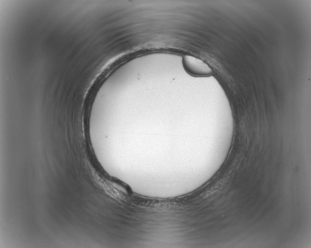 X0000063450934200602171854