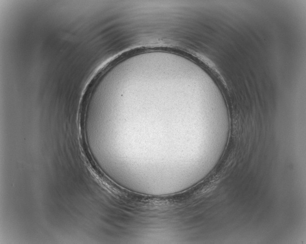 X0000063450935200602171854