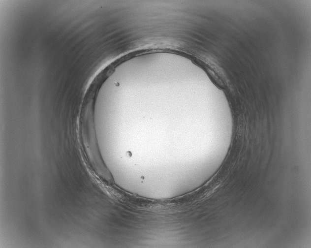 X0000063450936200602171854