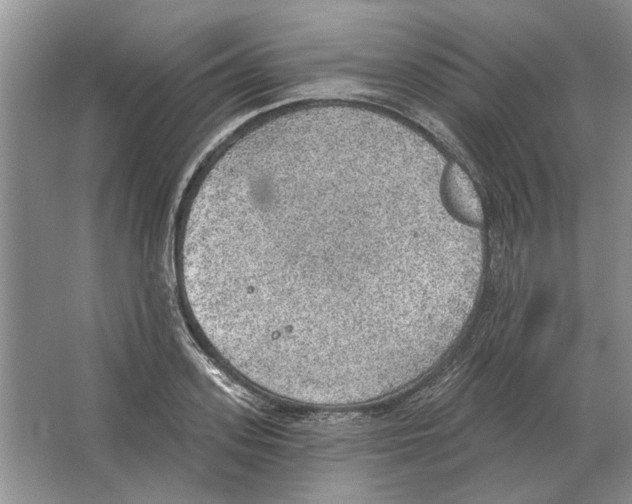 X0000063450939200602171854