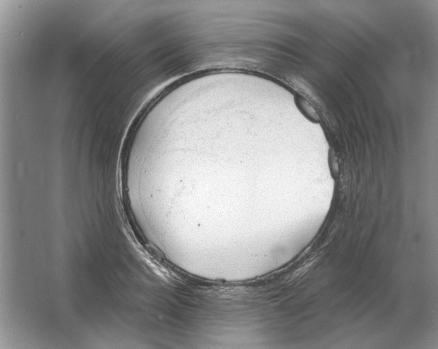 X0000063450940200602171854