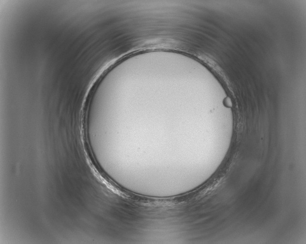 X0000063450941200602171854