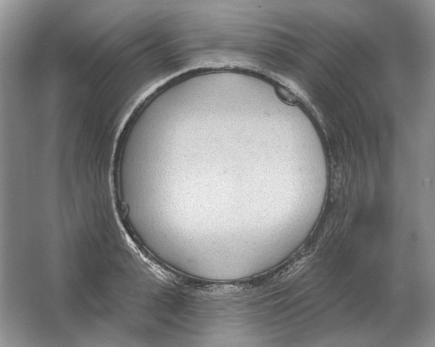 X0000063450943200602171854