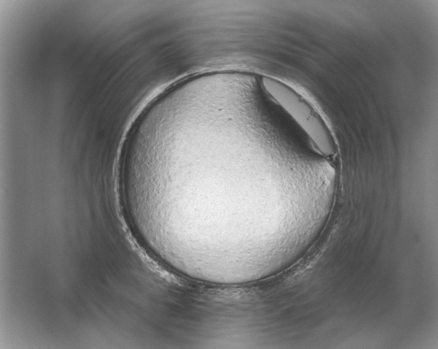 X0000063450949200602171854