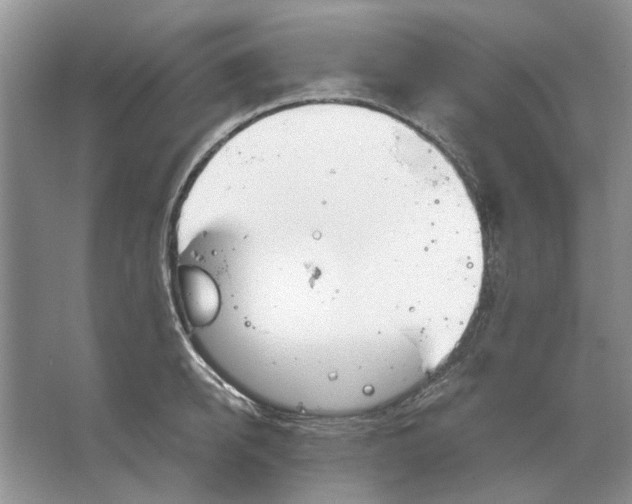 X0000063450950200602171854