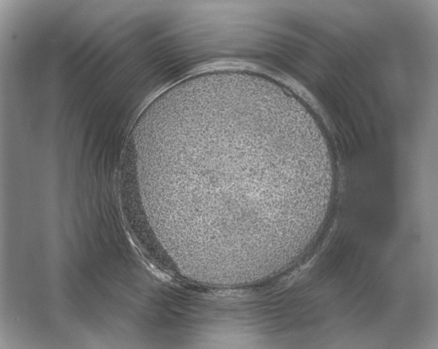 X0000063450953200602171854