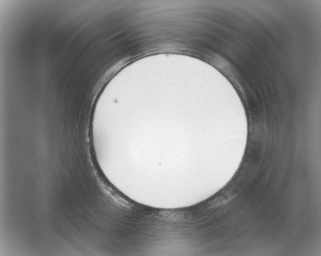 X0000063450954200602171854