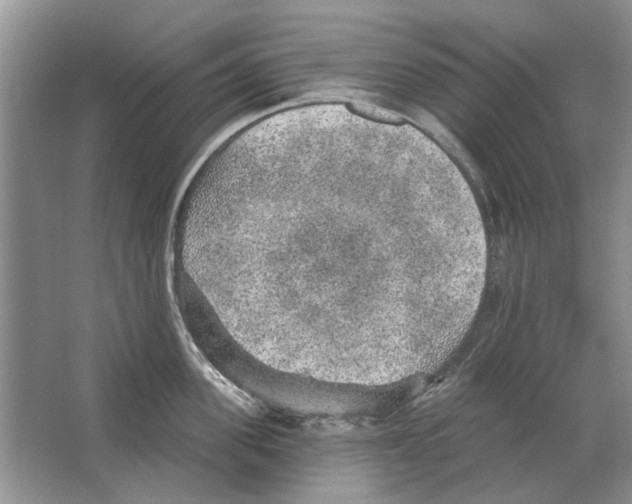 X0000063450955200602171854