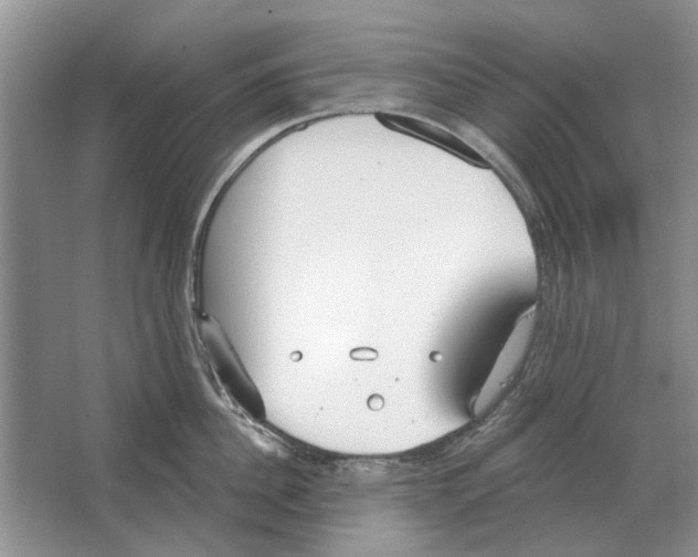 X0000063450956200602171854