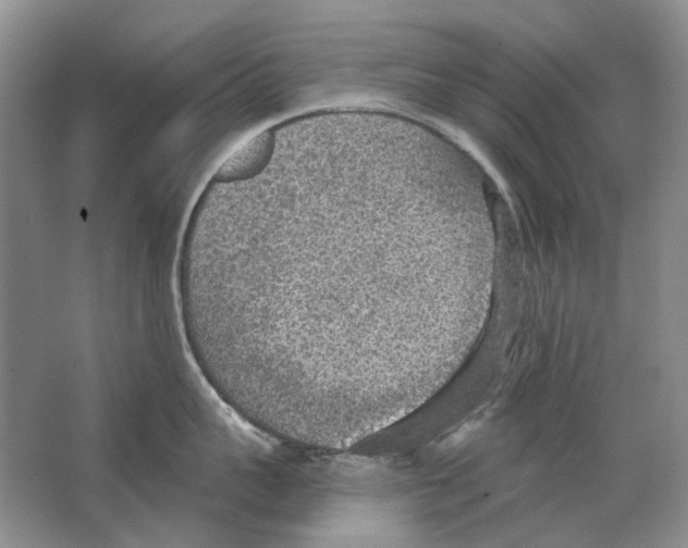 X0000063450959200602171854