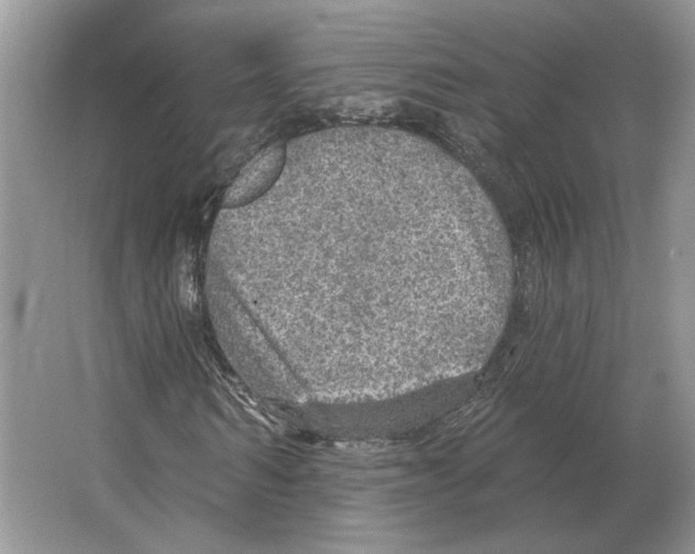 X0000063450962200602171853