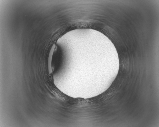 X0000063450964200602171853