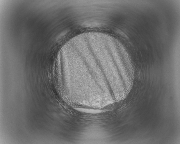 X0000063450966200602171853