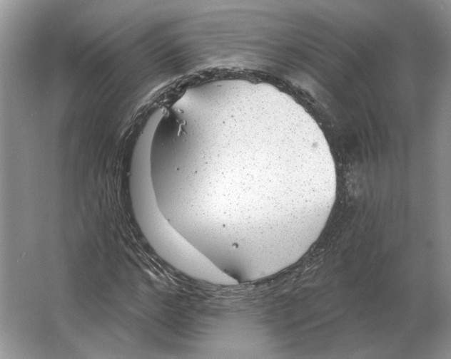 X0000063450968200602171853