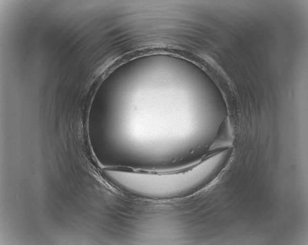 X0000063450969200602171853