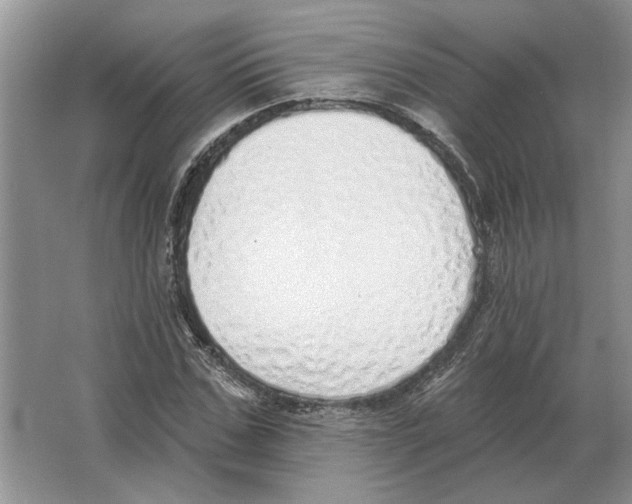 X0000063450971200602171853