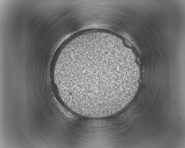 X0000063450972200602171853