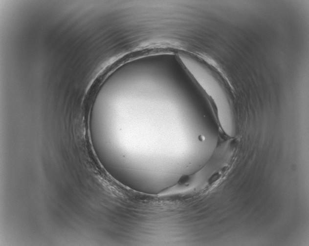 X0000063450973200602171853