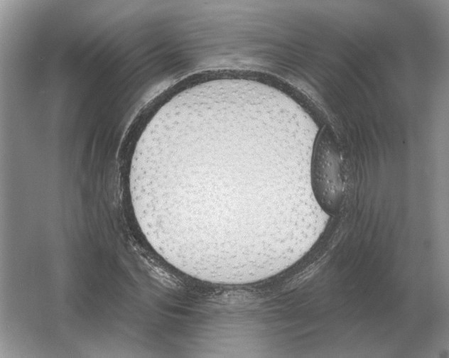 X0000063450974200602171853