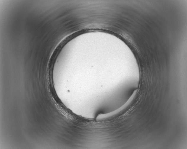 X0000063450976200602171853