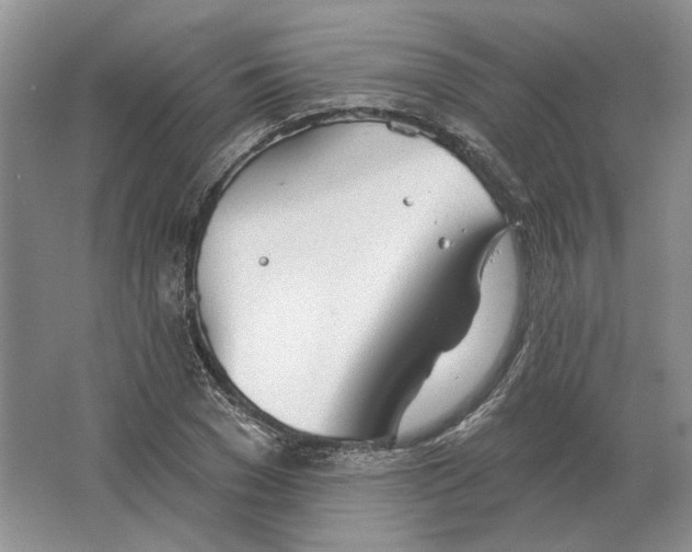 X0000063450977200602171853