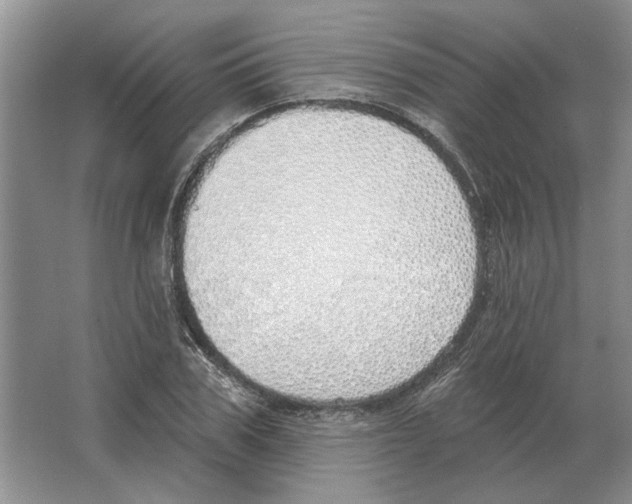 X0000063450979200602171853