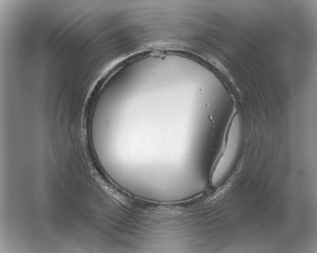 X0000063450981200602171853