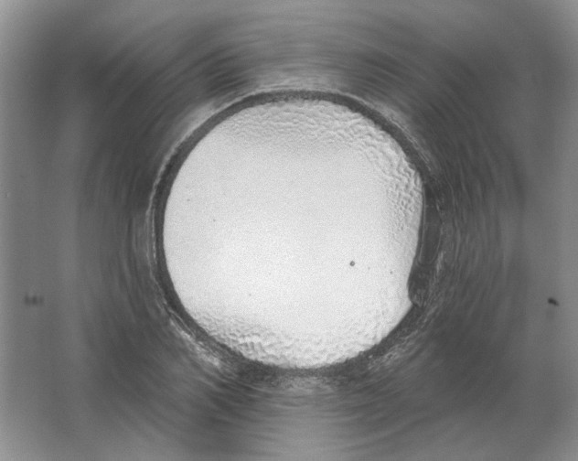 X0000063450982200602171853