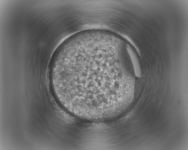 X0000063450983200602171853