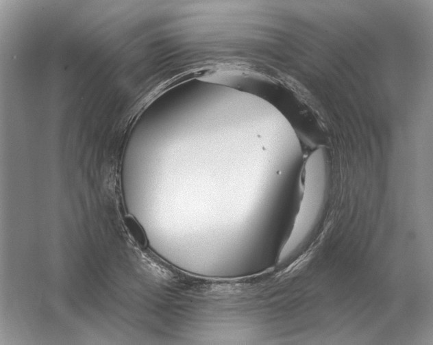 X0000063450985200602171853