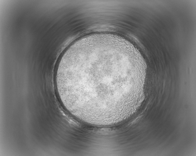 X0000063450986200602171853