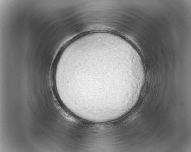 X0000063450987200602171853