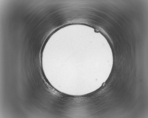 X0000063450988200602171853