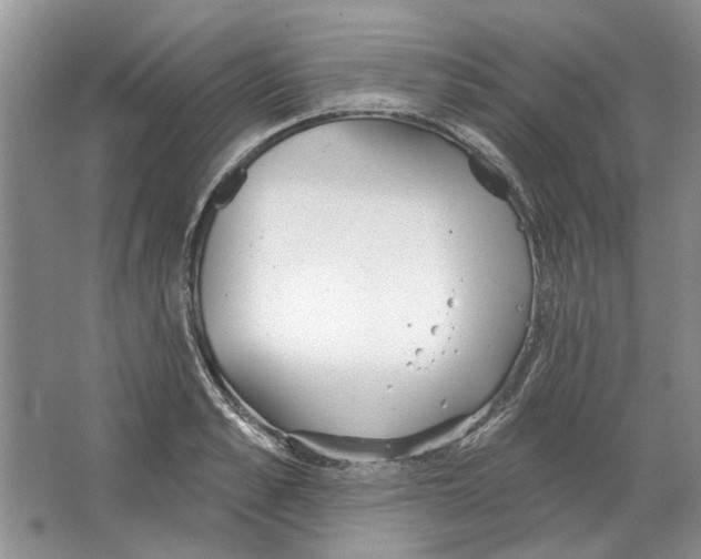 X0000063450989200602171853