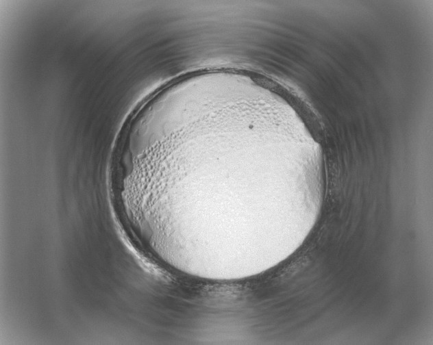 X0000063450991200602171853