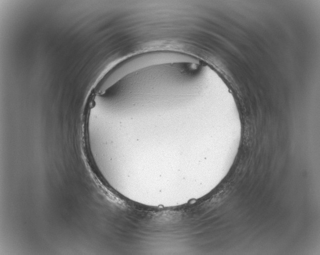 X0000063450992200602171853