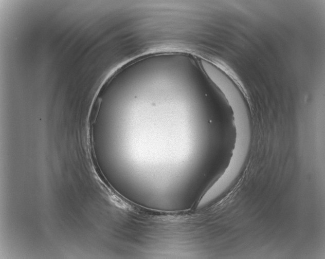 X0000063450996200602171853